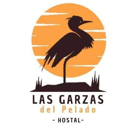 Hostal Las Garzas Del Pelado Playas Exteriör bild